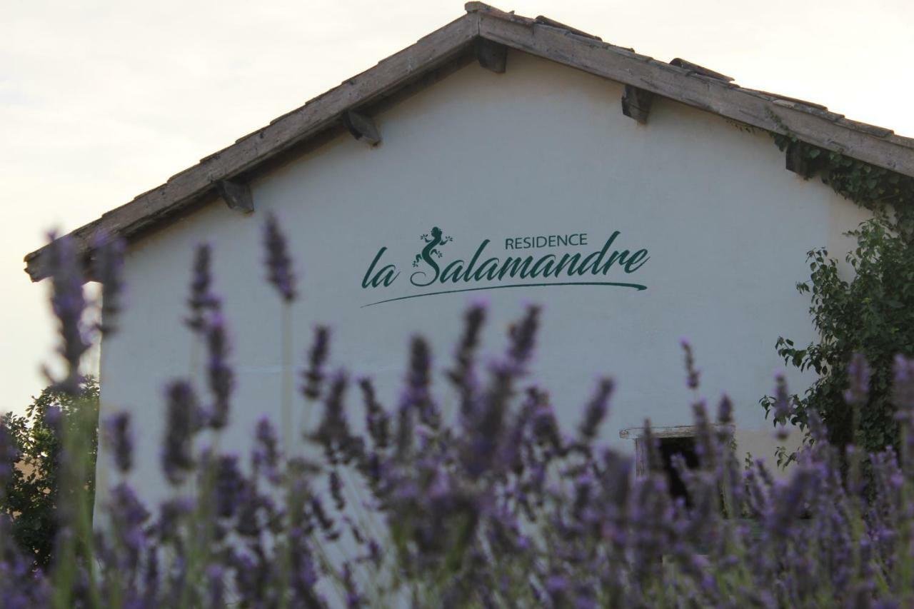 Residence La Salamandre Kamers Rabastens Екстериор снимка